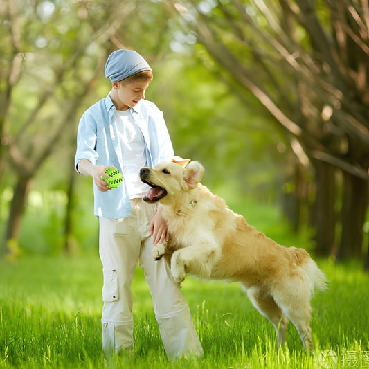 Indoor or Outdoor Fun, Anytime