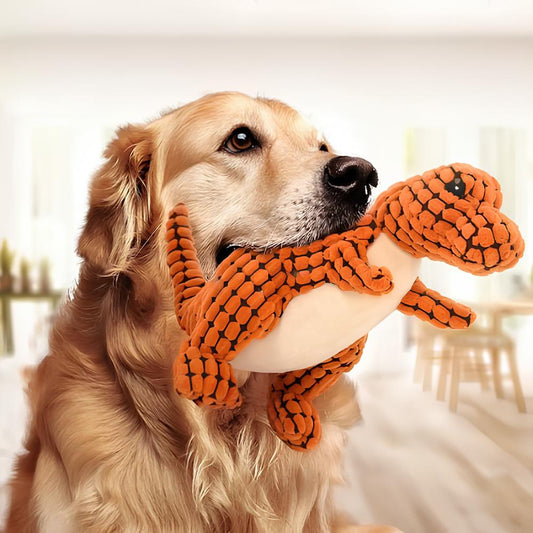 Keeping Dogs Happy and Occupied