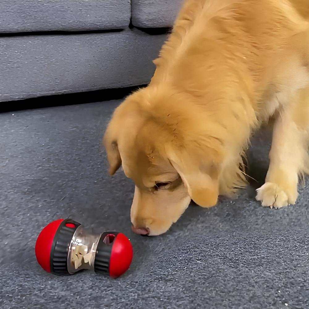 puzzle feeder for dogs