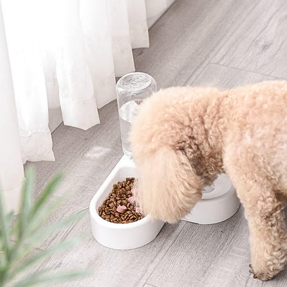 Hydration Bowl