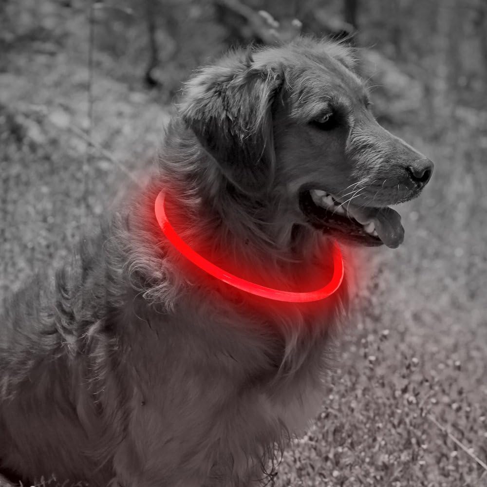 LED Safety Collar