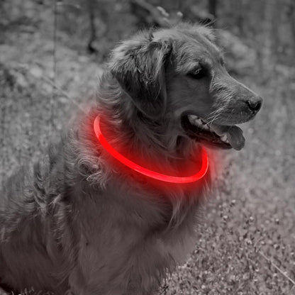 LED Safety Collar