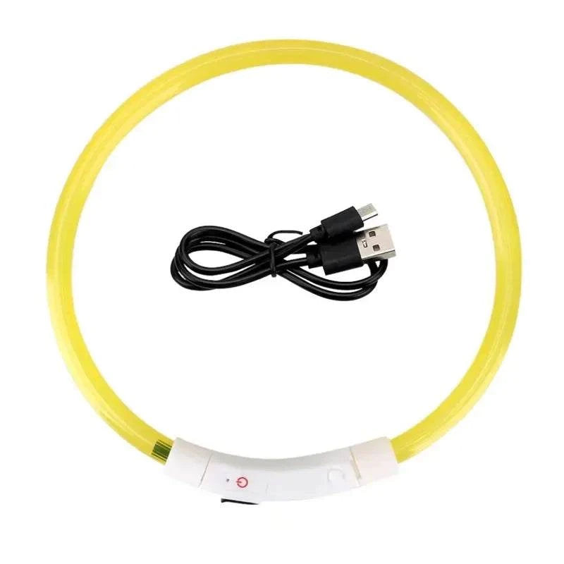 LED Safety Collar