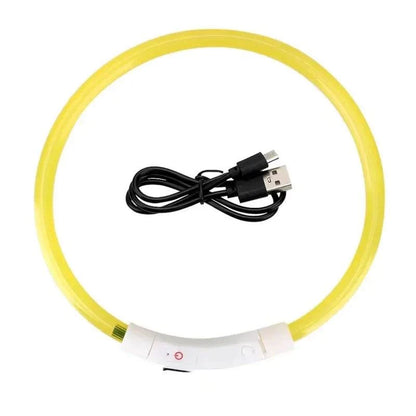 LED Safety Collar