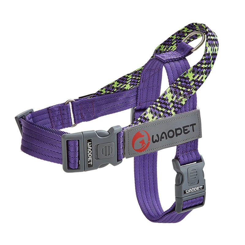 Forza No Pull Harness