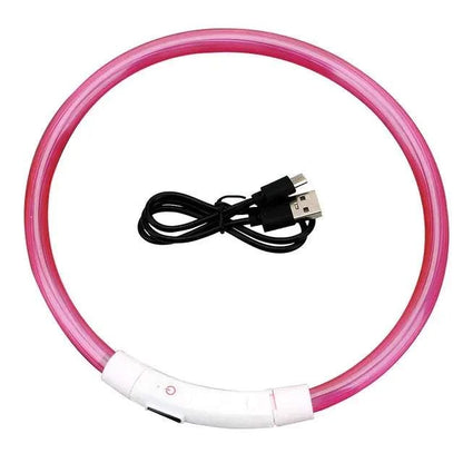 LED Safety Collar