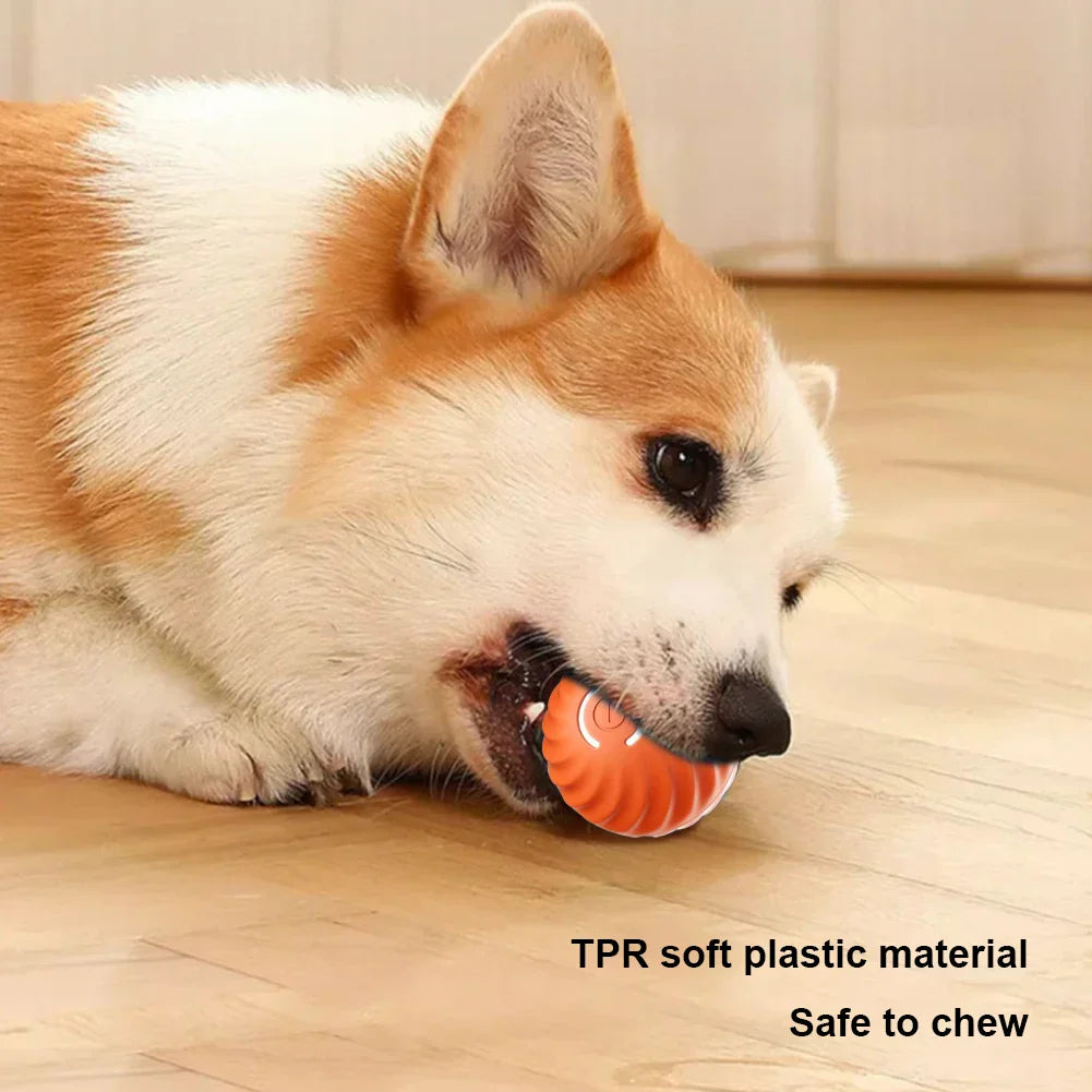 Smart Interactive Dog Toy