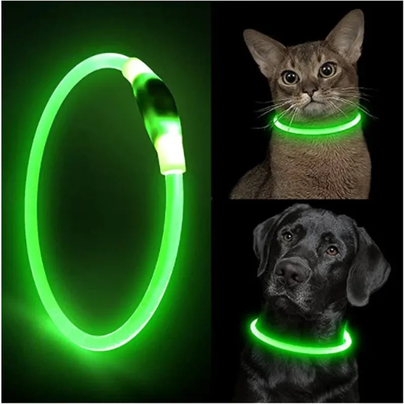 LED Safety Collar