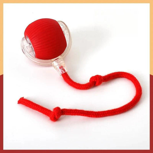 Electric Dog Ball Toys