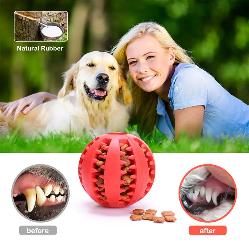 Rubber Ball Toy