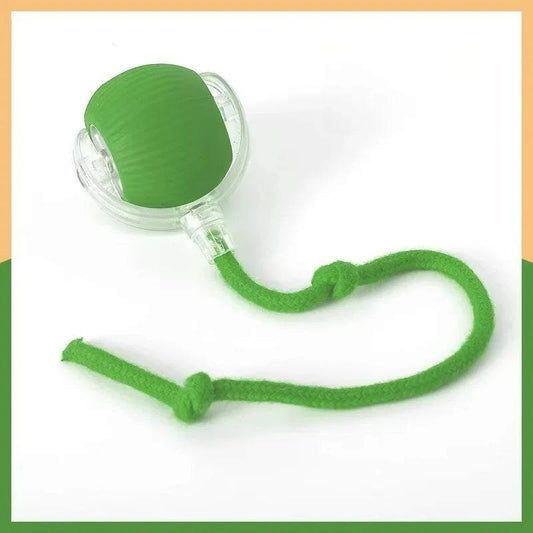 Electric Dog Ball Toys