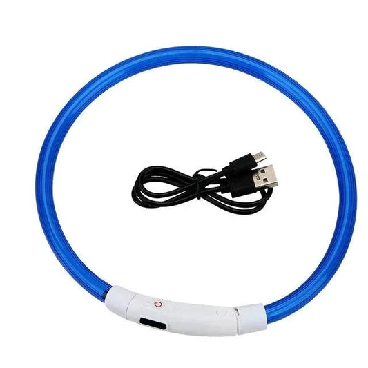 LED Safety Collar