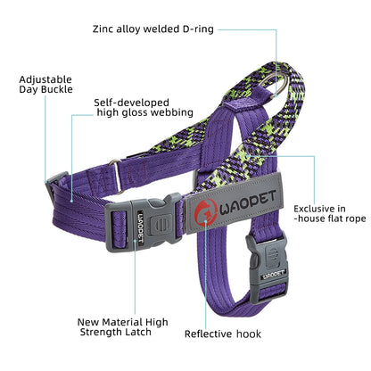 Forza No Pull Harness