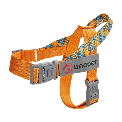 Forza No Pull Harness